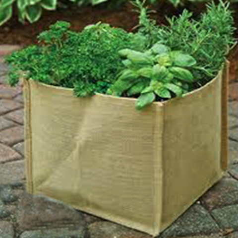 plant-bag
